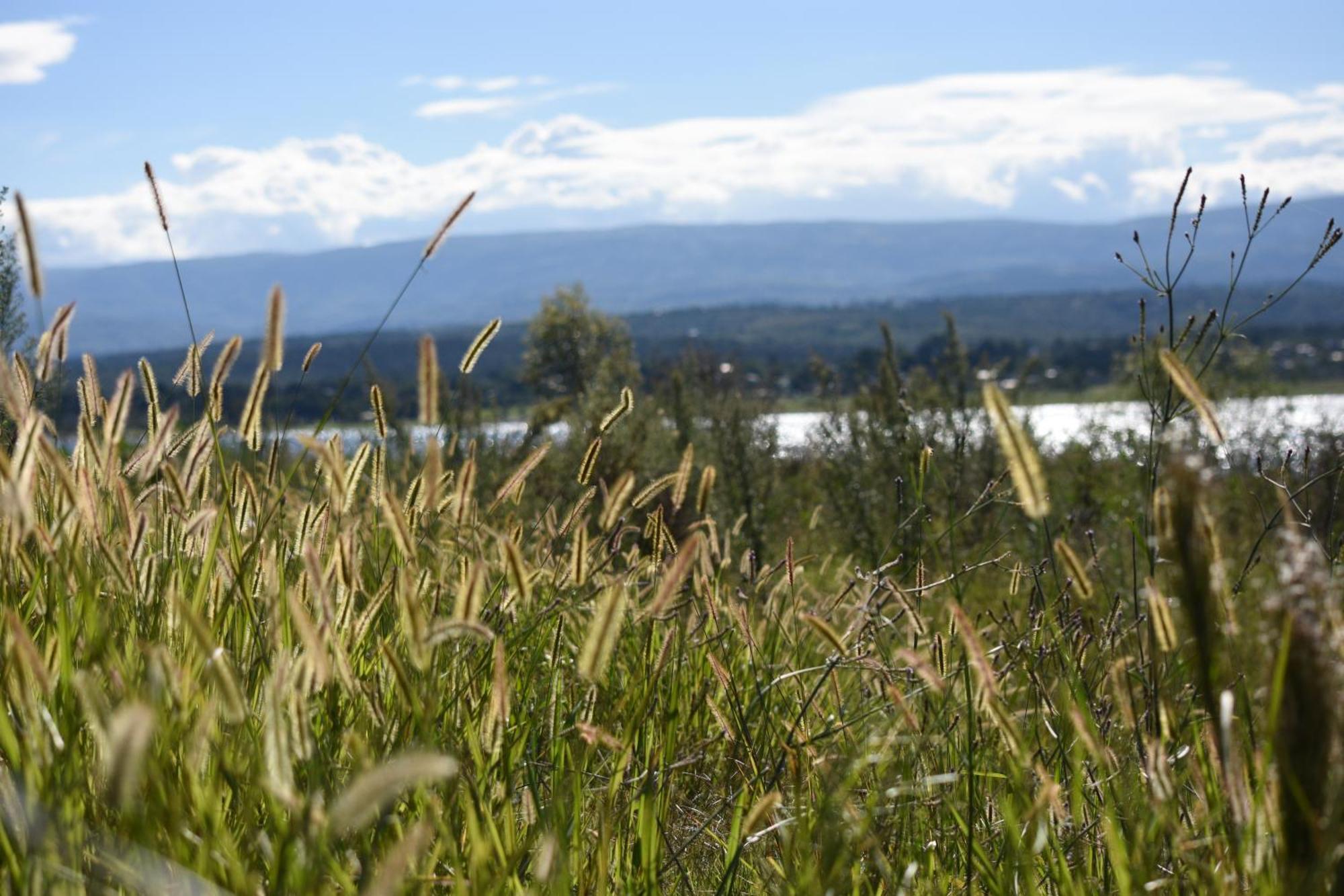Peperina Lago Los Molinos บีญาซิวดัด เด อเมริกา ภายนอก รูปภาพ