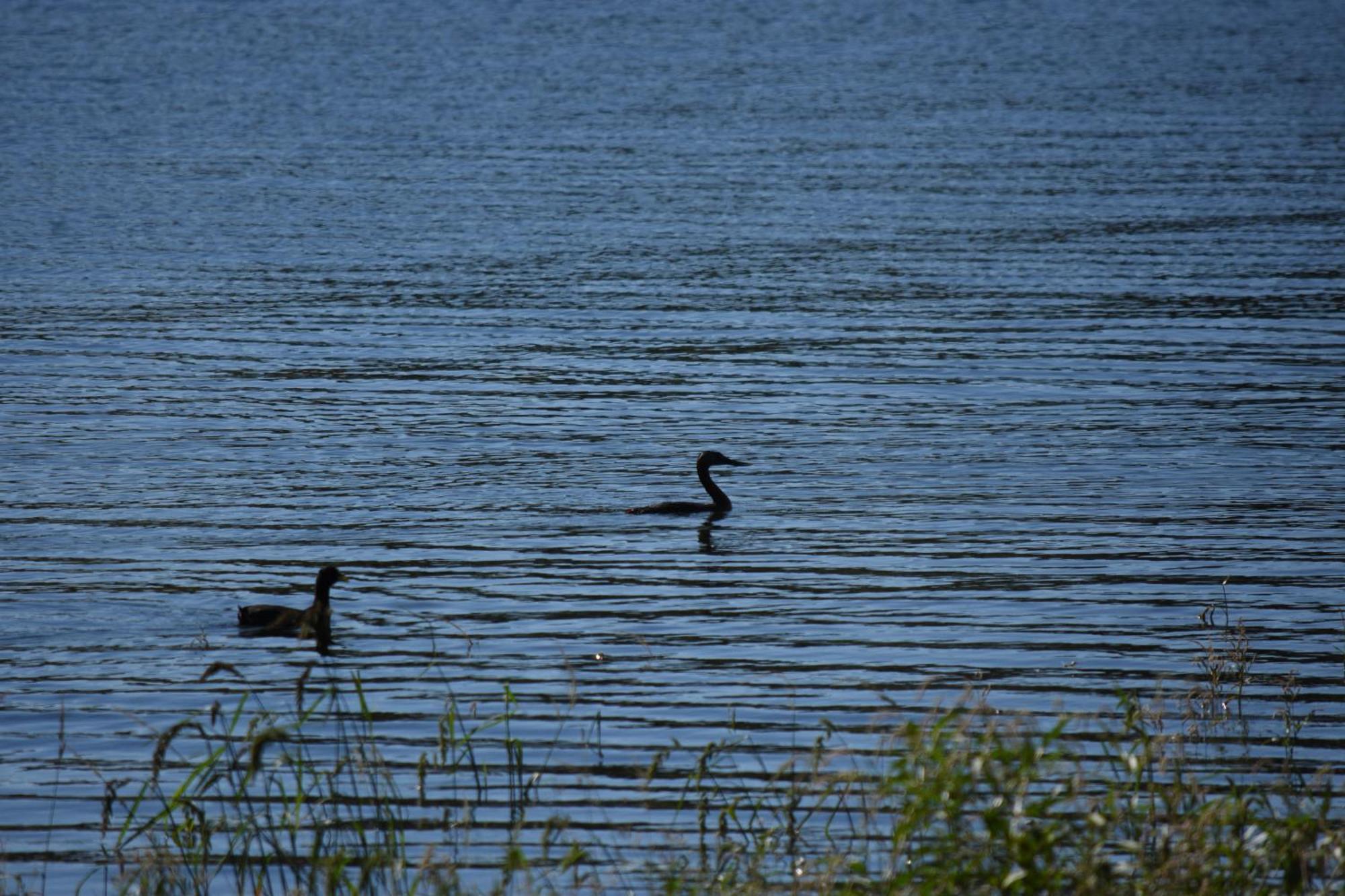 Peperina Lago Los Molinos บีญาซิวดัด เด อเมริกา ภายนอก รูปภาพ