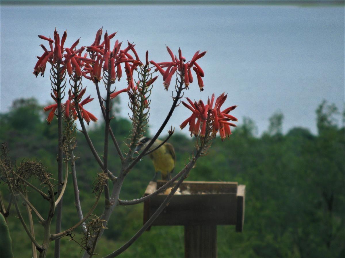Peperina Lago Los Molinos บีญาซิวดัด เด อเมริกา ภายนอก รูปภาพ